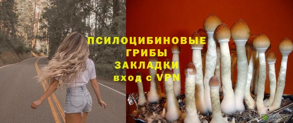 дурь Абинск