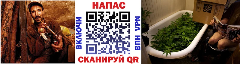 Шишки марихуана AK-47 Магнитогорск